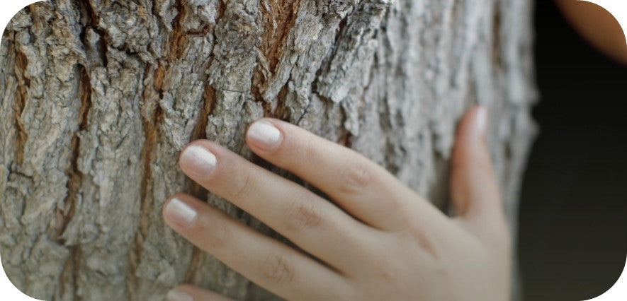 Warifa Nature Connection