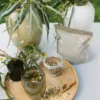 Clarity Moment Herbal Tea