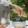 Clarity Moment Herbal Tea