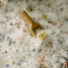warifa photo tea and salt 2025-50 Cloud of Stillness Bath Salts